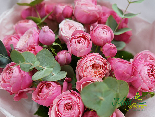 Букет из кустовых розовых роз "Silvia Pink" Фото